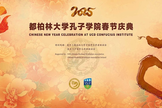 2025 Chinese New Year Celebration at UCD Confucius Institute for Ireland
